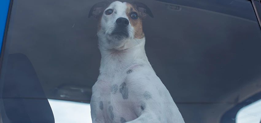 Car Lockout Solutions in Lodi, California